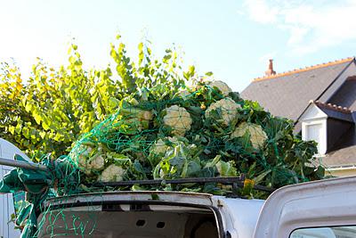 Day 169: Postcards from Loire.