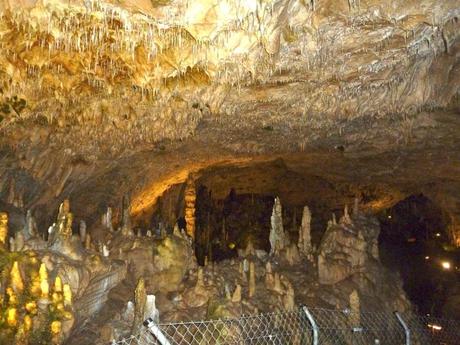 show caves bear cave formations