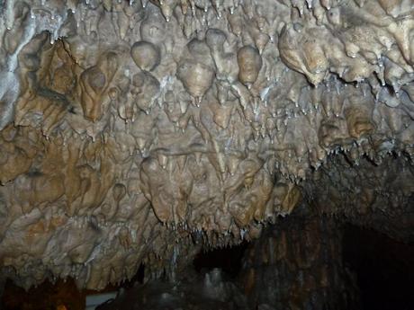 show caves bear cave interesting formations