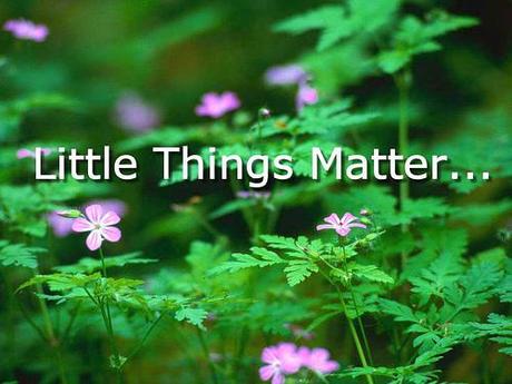 Little Things Matter