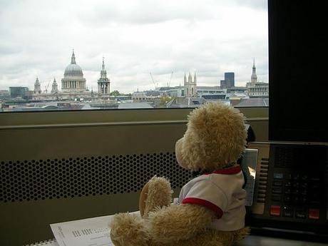 Ted and the City