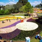 Flowers are the show for Floriade 2012