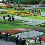 Flowers are the show for Floriade 2012