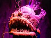 Spooky Deep-Sea Creatures