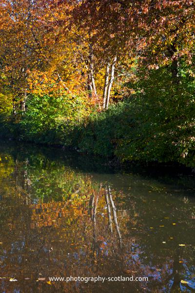 Photo - autumn colours on the Union Canal, Edinburgh, Scotland