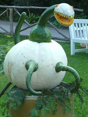 pumpkin carving ideas