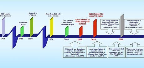 Marijuana: The New Generation