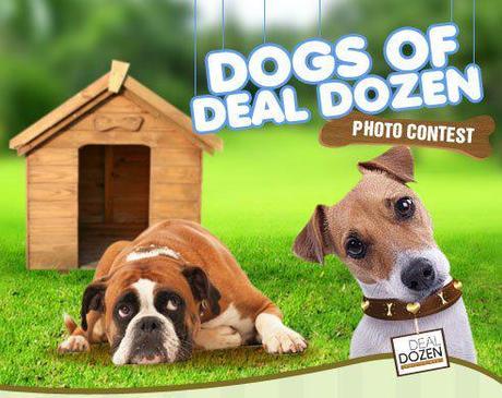 Win P10,000 in Dogs of Deal Dozen Photo Contest!