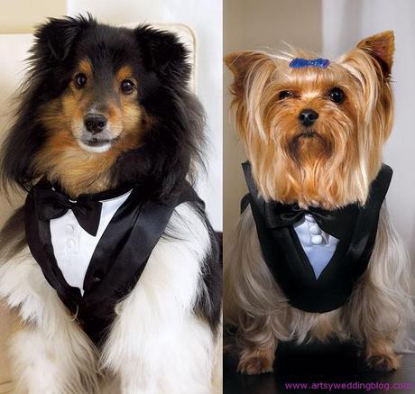 Invite Your Beloved Pet to Your wedding