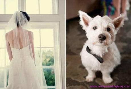 Invite Your Beloved Pet to Your wedding