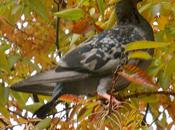 Post About Other People