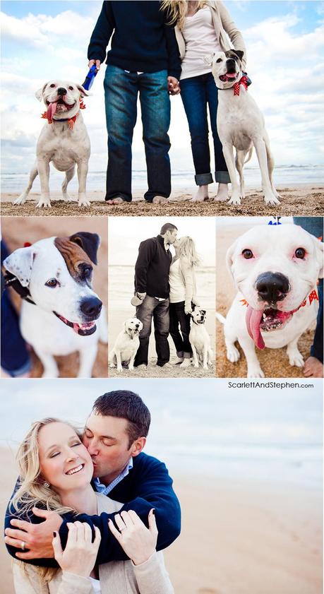 Stephanie & Chris & their pups! // Jacksonville Dog Photographer