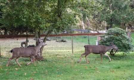 Since I am too tired to blog…