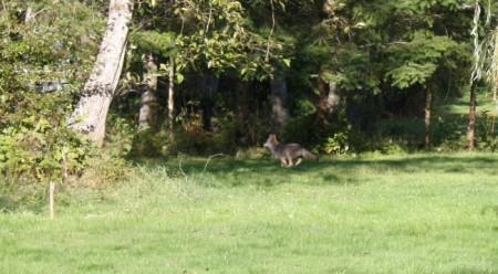 Since I am too tired to blog…