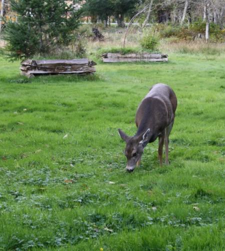 Since I am too tired to blog…