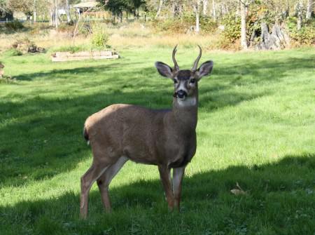 Since I am too tired to blog…