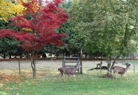 Since I am too tired to blog…