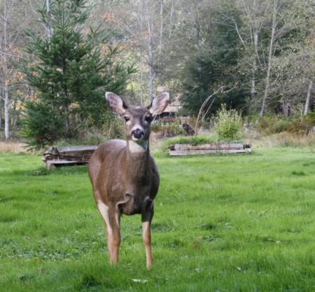 Since I am too tired to blog…