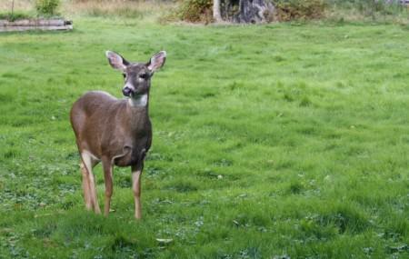 Since I am too tired to blog…