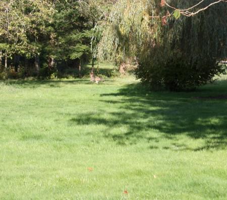 Since I am too tired to blog…