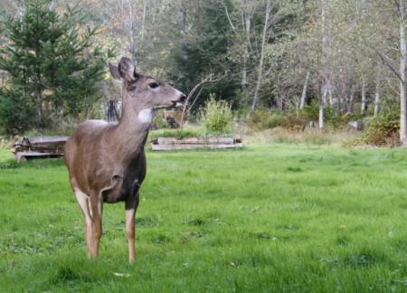 Since I am too tired to blog…