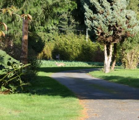 Since I am too tired to blog…