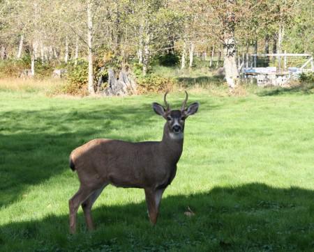 Since I am too tired to blog…