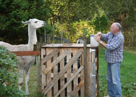 Since I am too tired to blog…