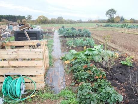 1st Allotment Anniversary