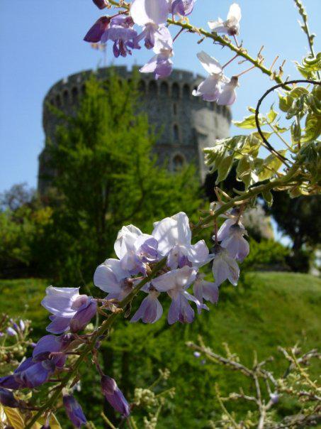 Day Tripping to Stonehenge, Salisbury, and Windsor Castle