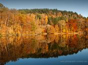 Autumnal Reflections