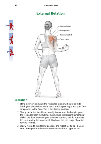 check-out-my-tennis-anatomy-L-lIyiD4.png