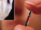 “Why Want Microchip Implant”