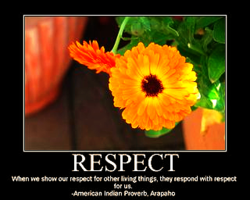 Respect Each Other