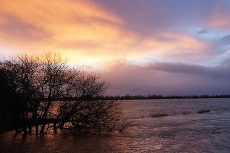 Sunset on the Somerset Levels