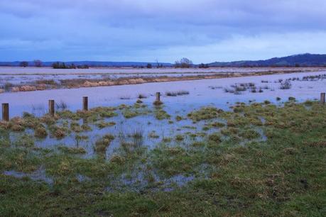 Sunset on the Somerset Levels