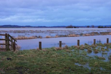 Sunset on the Somerset Levels