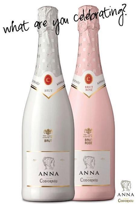 Anna de Codorniu launches a new look for a new year