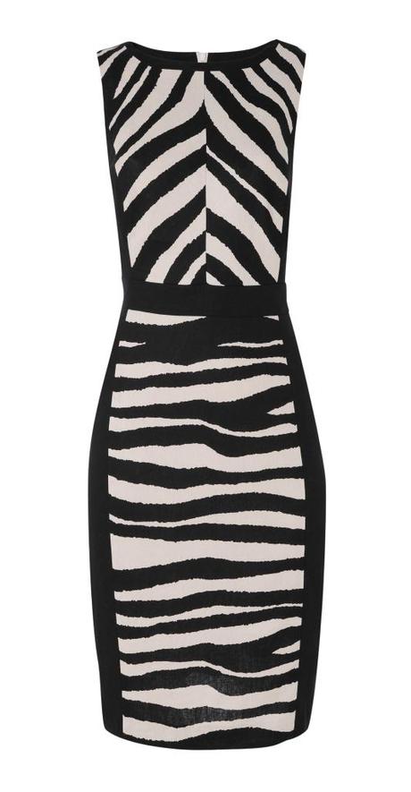 Linen zebra print dress