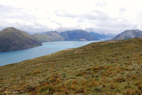 lakecoleridge3