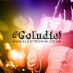 GoIndie - The Challenges of Being an Independent Musician