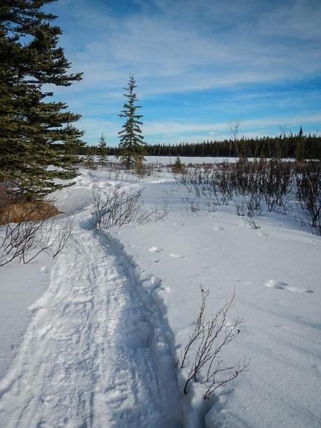 Snow Running Trail