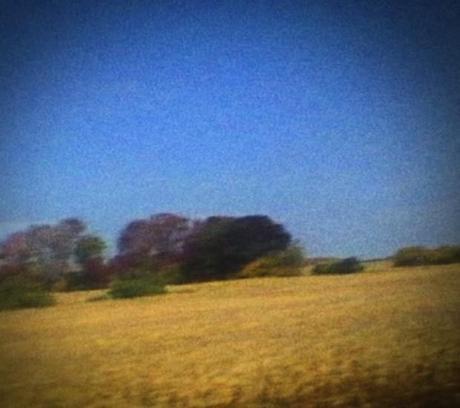 sun kil moon 620x551 SUN KIL MOONS BENJI