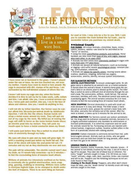 The fur industry