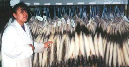 hanging pelts