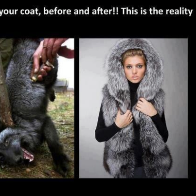 before and after fur