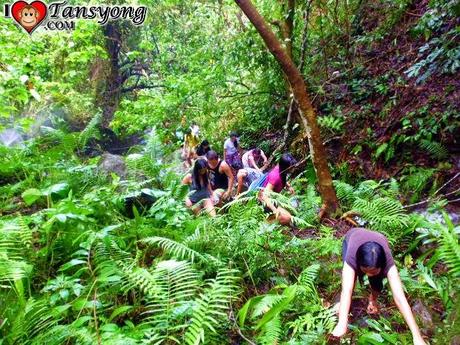 Discovering Jabuyo Falls