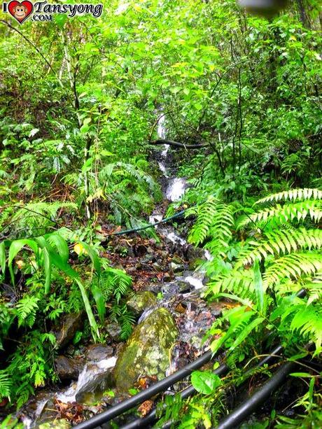 Discovering Jabuyo Falls