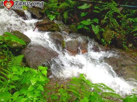 Discovering Jabuyo Falls