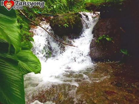 Discovering Jabuyo Falls